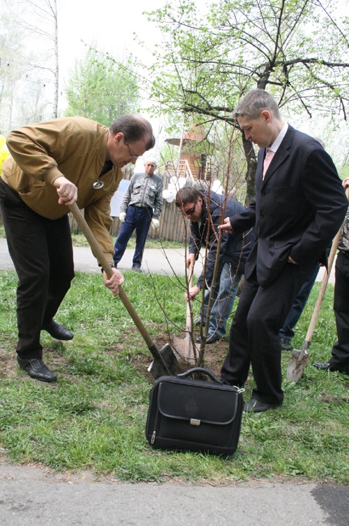 Посадка деревьев в Городском саду
