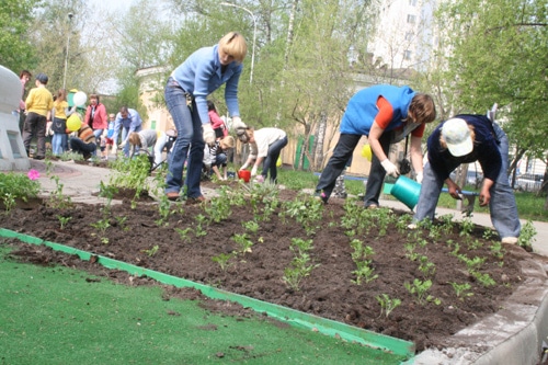 Посадка деревьев в Городском саду