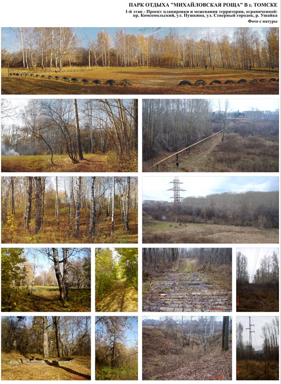 Михайловская роща сегодня