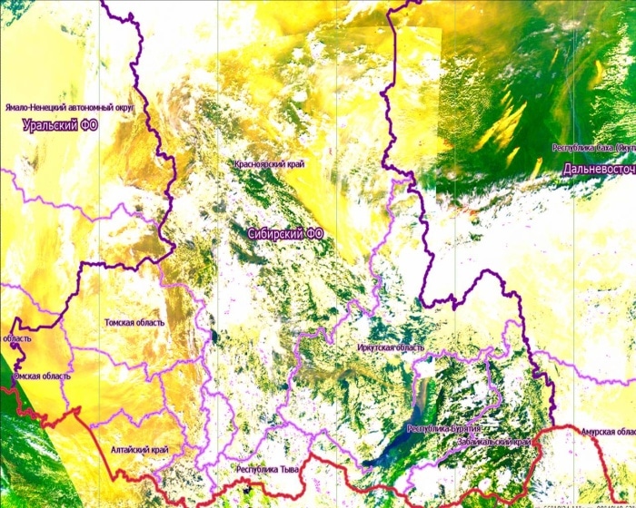 Карта пожаров томской области