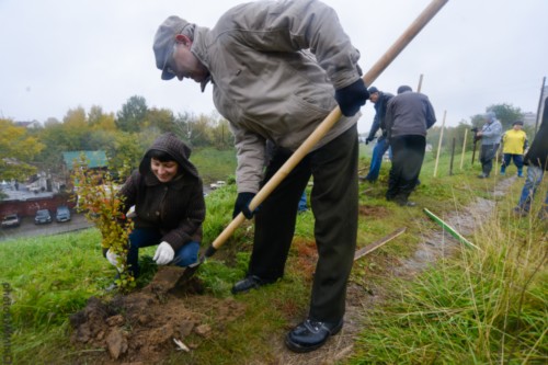 Общегородской субботник