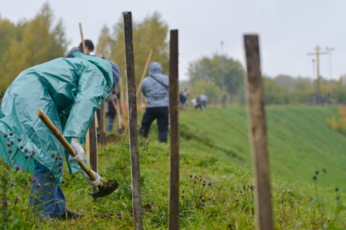 Общегородской субботник