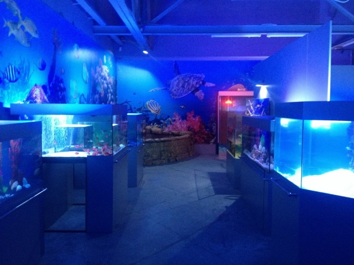 океанариум
