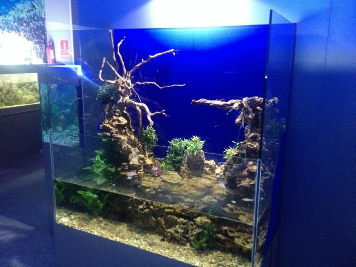 океанариум