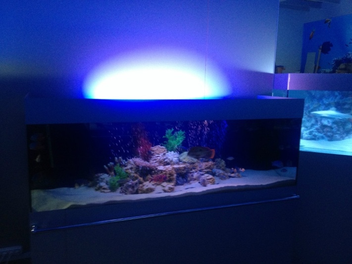 океанариум