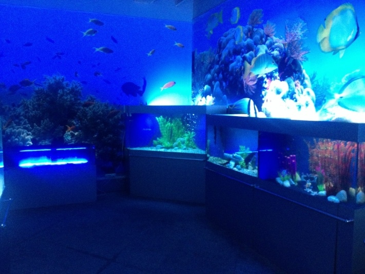 океанариум