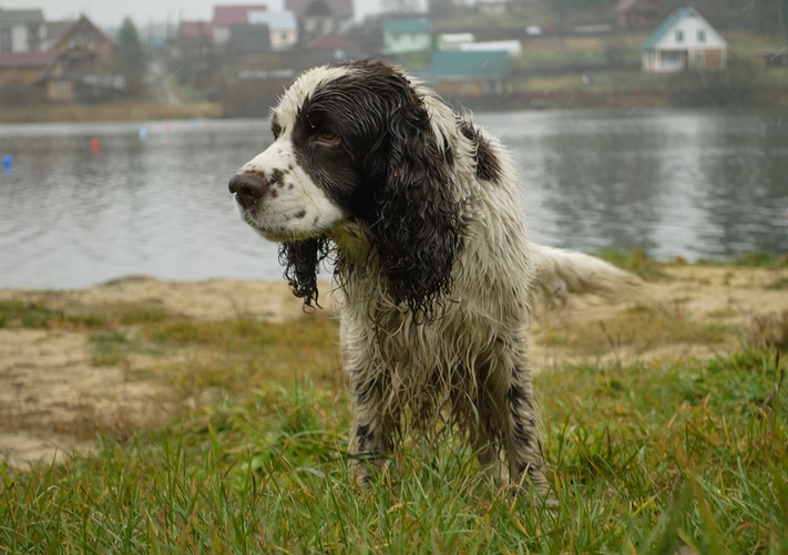 Плавание_в_холодной_воде