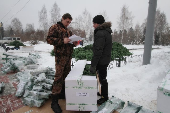 Новогодняя_ёлка