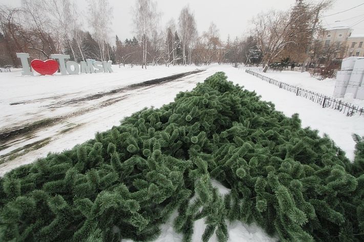 Новогодняя_ёлка