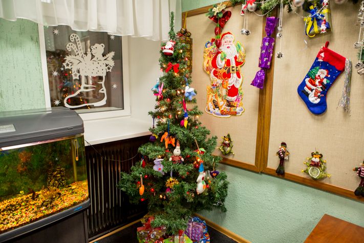 Школа Кристина силуэты окна