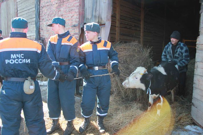 Животные паводок