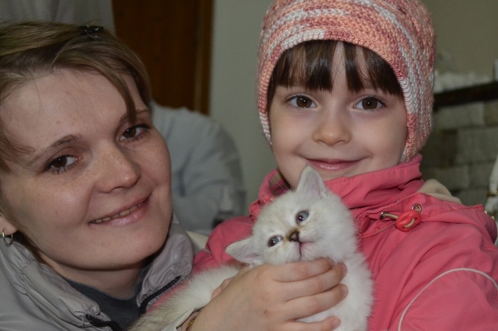 Раздача животных