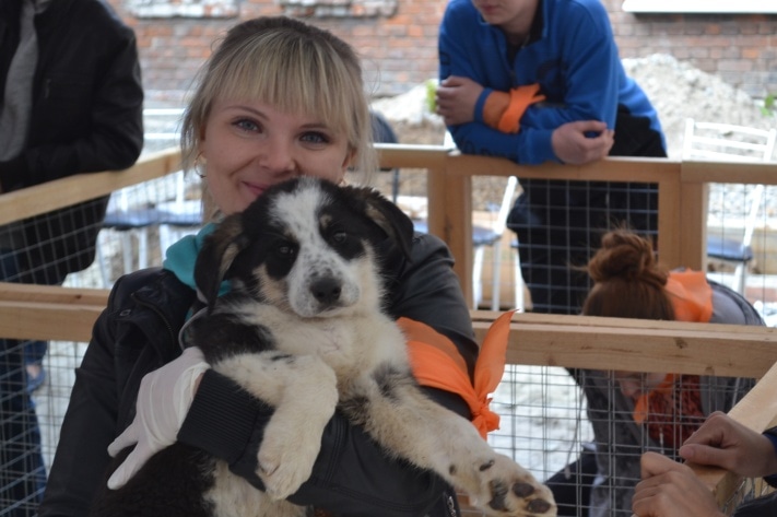 Раздача животных