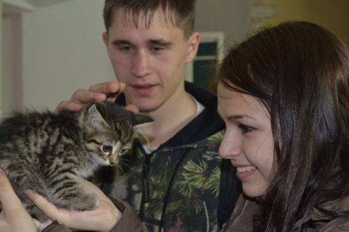 Раздача животных