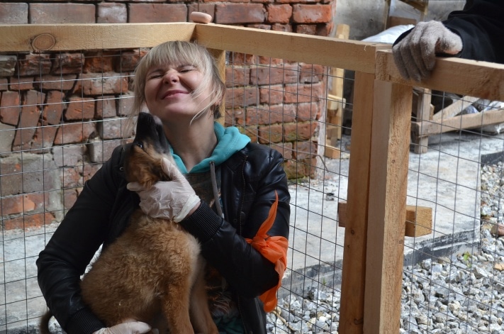 Раздача животных