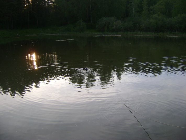 Водолазные работы Солнечный