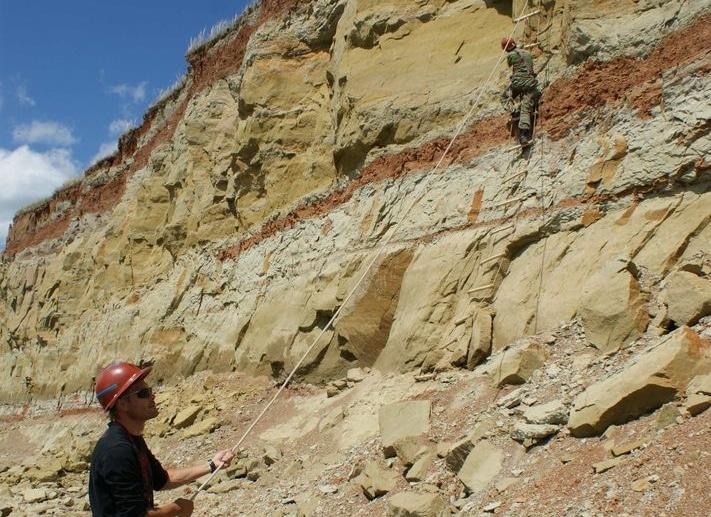 Поиски зауропода