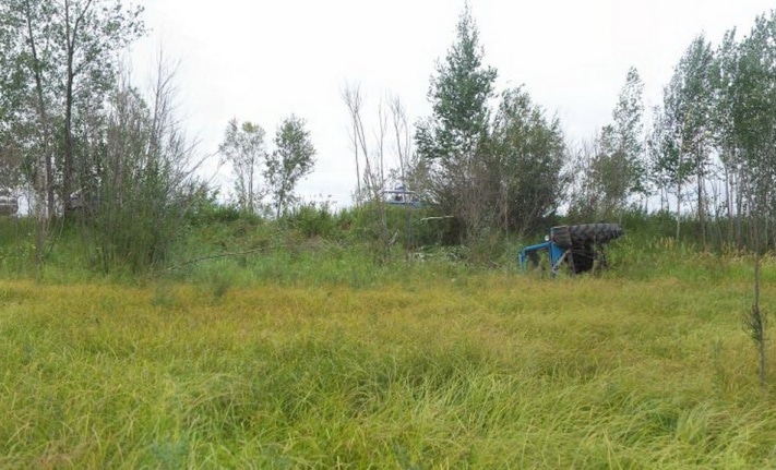 ДТП трактор