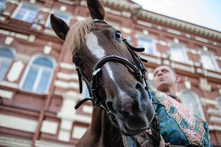 Народные гуляния Томск-2014