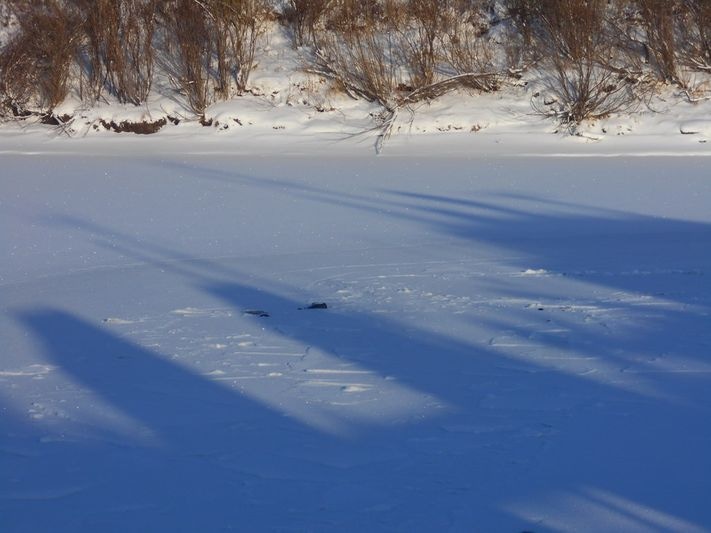 Водолазные работы в Моряковском затоне