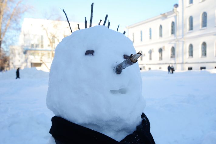 Снеговики ТГУ