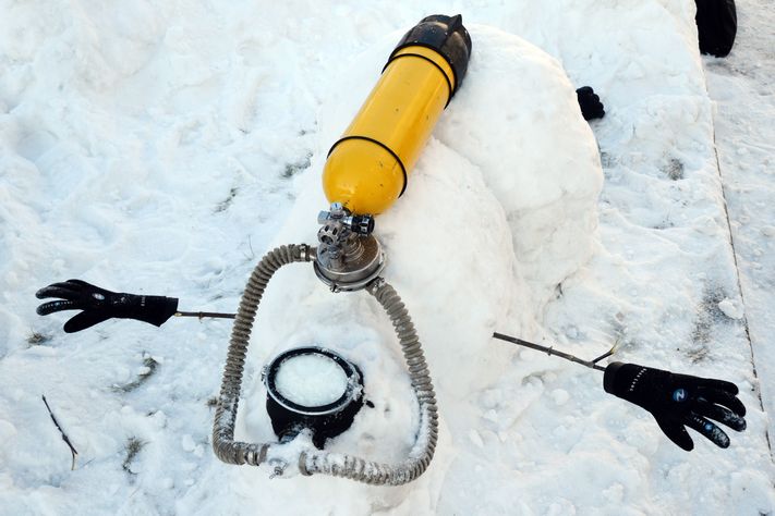 Снеговики ТГУ