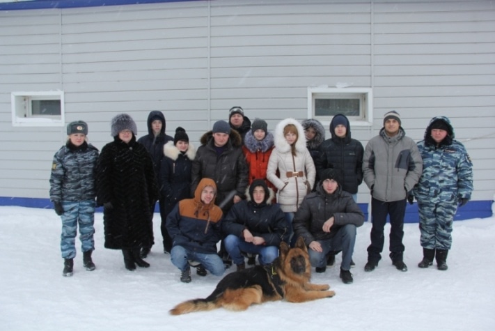 служебные собаки