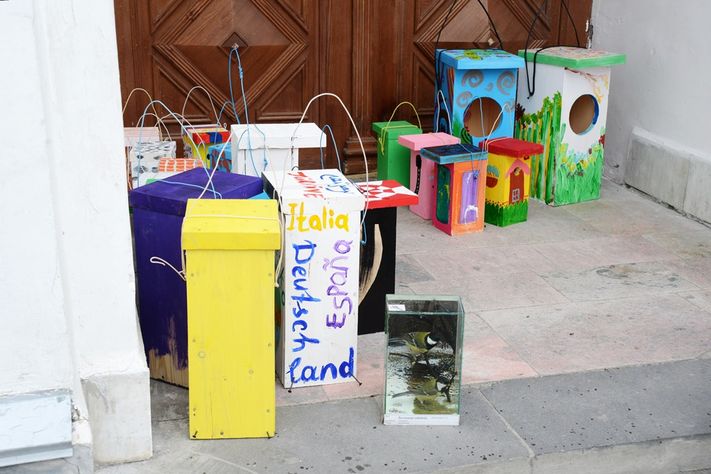 Скворечники Университетская роща