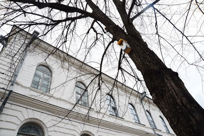 Скворечники Университетская роща