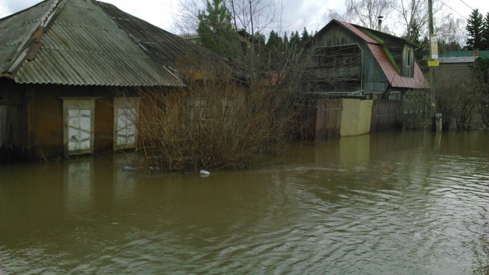 Заварзино Томск