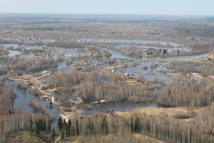 Карта село подгорное томская область чаинский район