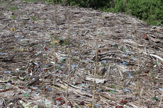 Экосубботник Томск