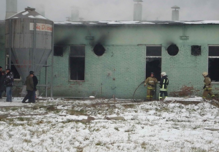 Пожар на свинокомплексе