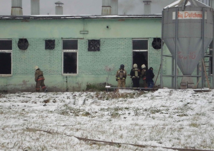 Пожар на свинокомплексе