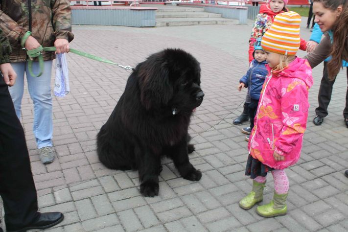 Выставка техники ГУ МЧС