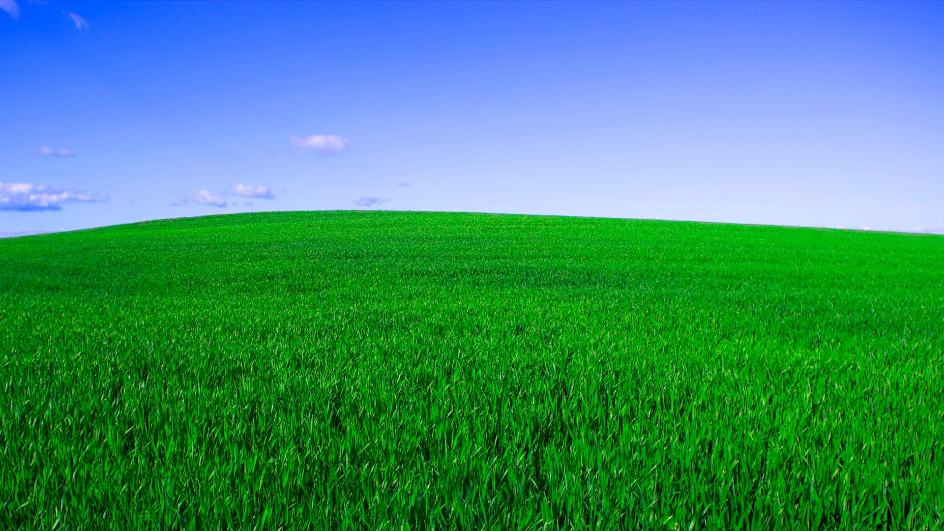 Keu kz. Трава фон. Зеленый газон. Зеленое поле. Зеленая трава фон.
