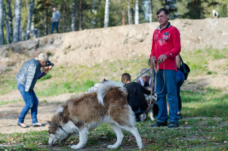 драйленд томск