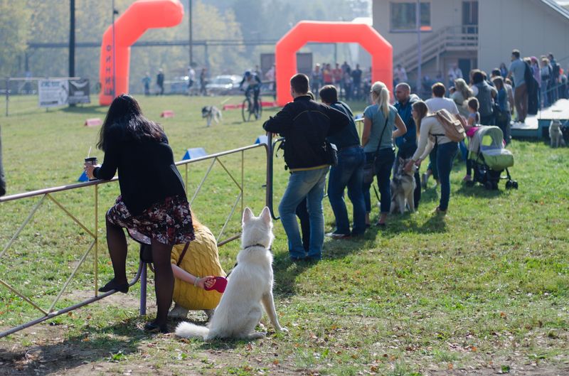 драйленд томск