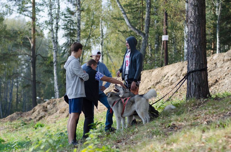 драйленд томск