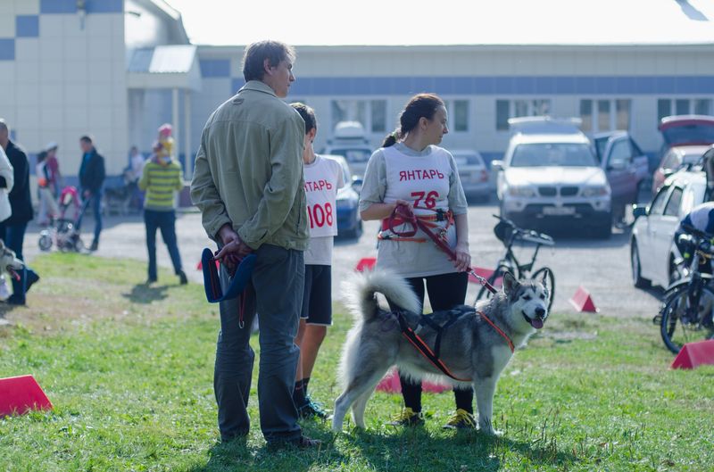 драйленд томск