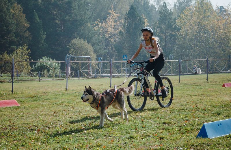 драйленд томск