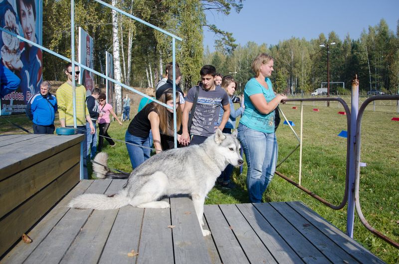 драйленд томск