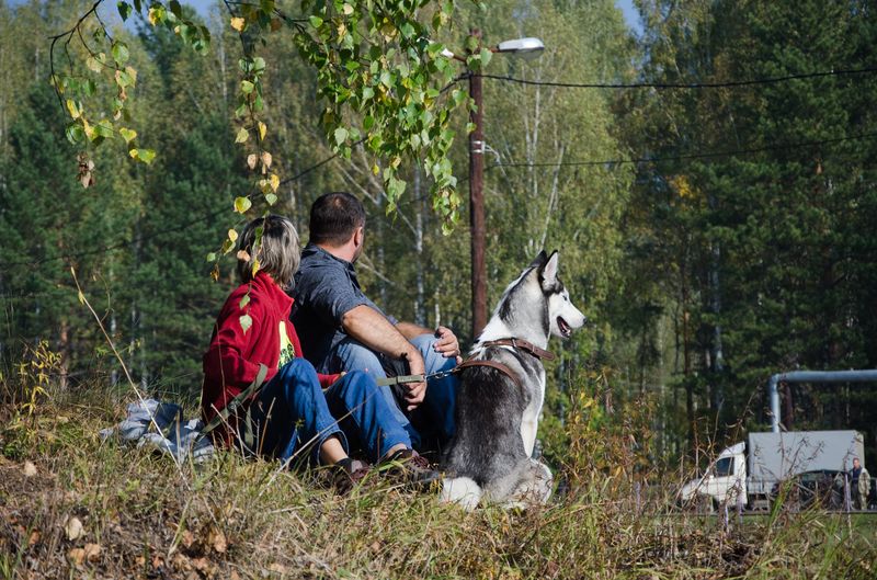 драйленд томск