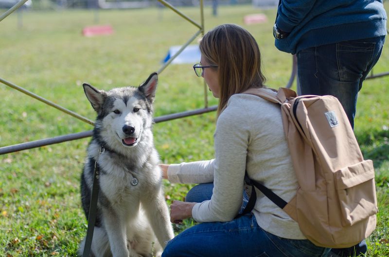 драйленд томск