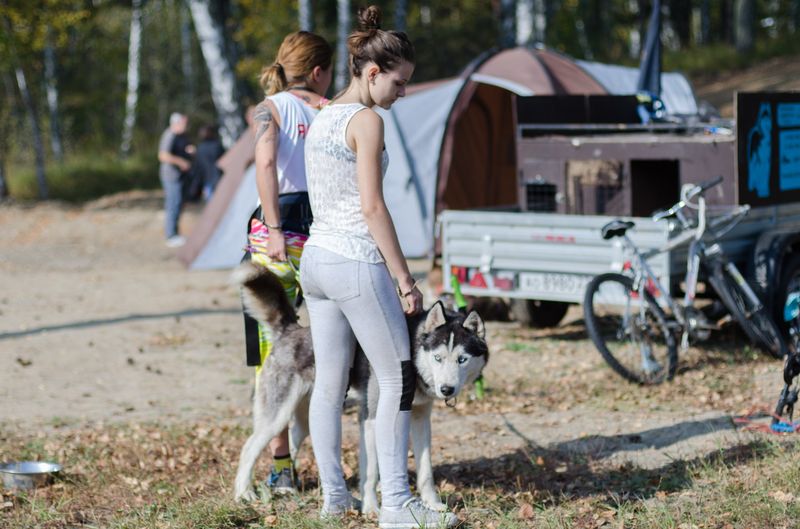 драйленд томск