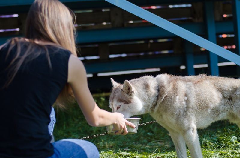драйленд томск