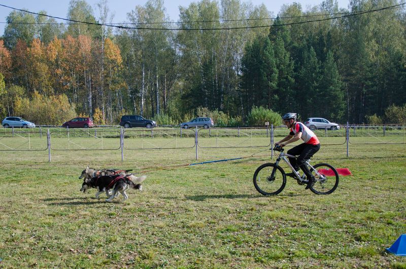 драйленд томск