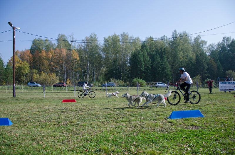 драйленд томск