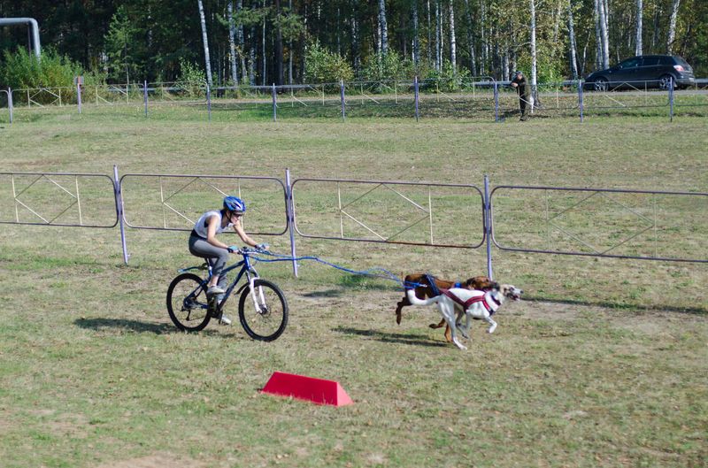 драйленд томск