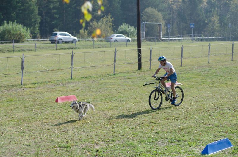 драйленд томск
